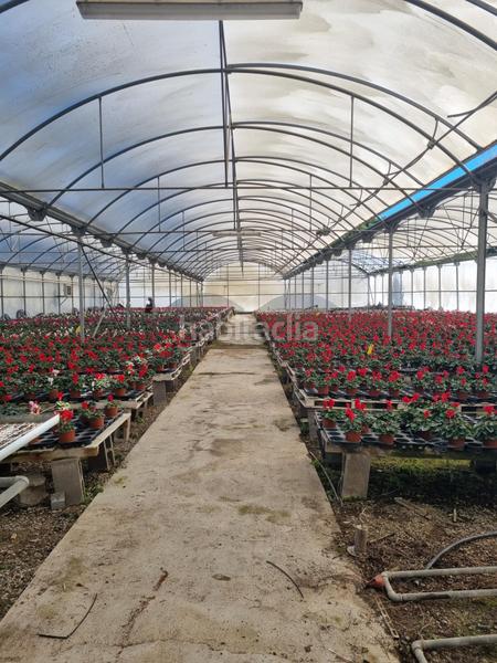 Foto 406de955-ceb8-4c30-aa00-be082be3f4f6. Finca rústica a Sant Cebrià de Vallalta