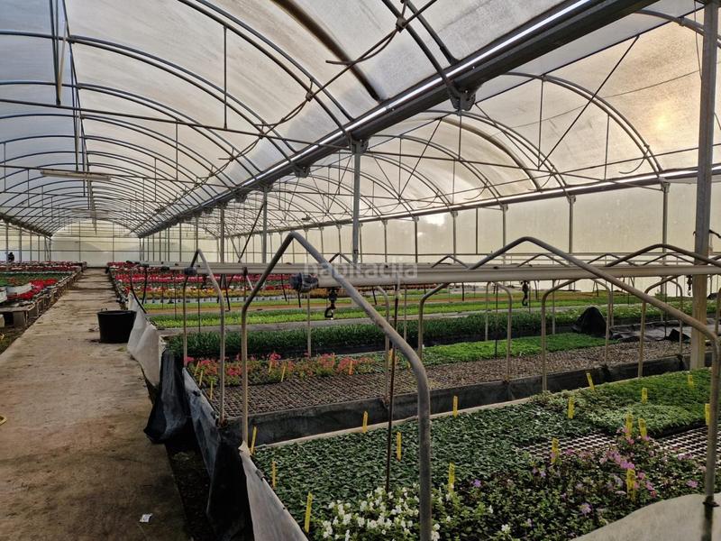 Foto e7b83c9a-673c-4ed5-9836-b76d1eed2ba9. Finca rústica a Sant Cebrià de Vallalta