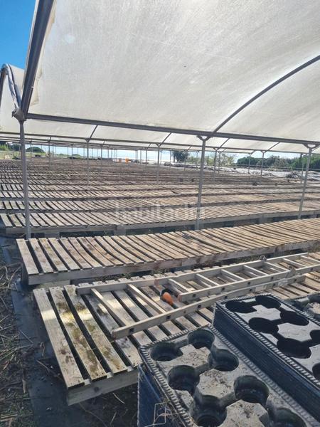 Foto 31db7112-1b2f-40a9-aed5-74cc3c4623e5. Finca rústica en Sant Cebrià de Vallalta