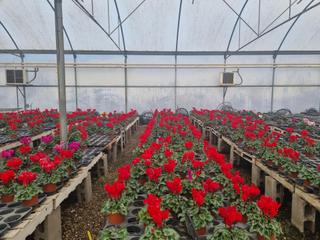 Finca rústica en Sant Cebrià de Vallalta