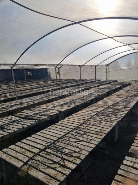 Foto 4cb0d8f2-1ecf-4fa8-919d-54baf1c29299. Finca rústica en Sant Cebrià de Vallalta