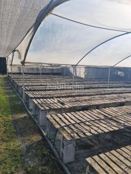 Foto f3bb09cd-6689-4f7c-9341-71a19a331fa5. Finca rústica en Sant Cebrià de Vallalta