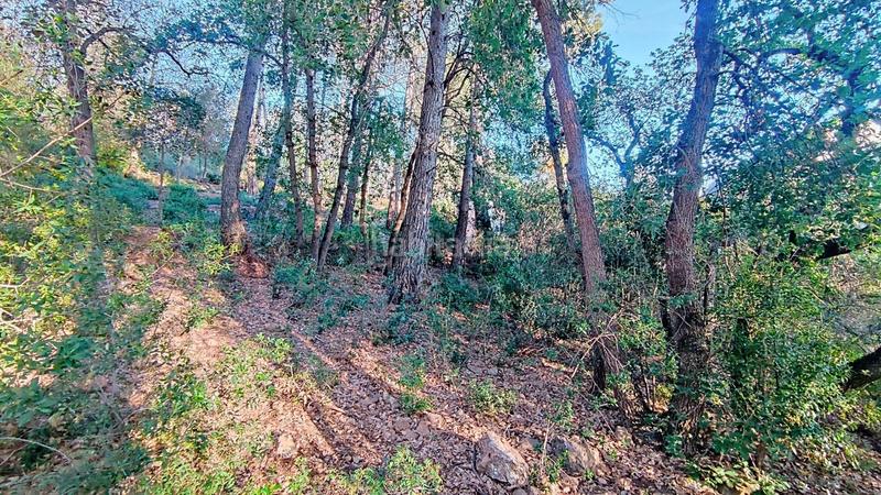 Foto a44a51a2-0154-4010-b79a-7048e28e7d79. Terreno residencial en Molins de Rei