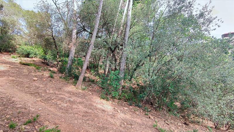 Foto 80e2703d-856e-4efd-b620-79ffe6e05ed1. Terrain résidentiel dans Molins de Rei