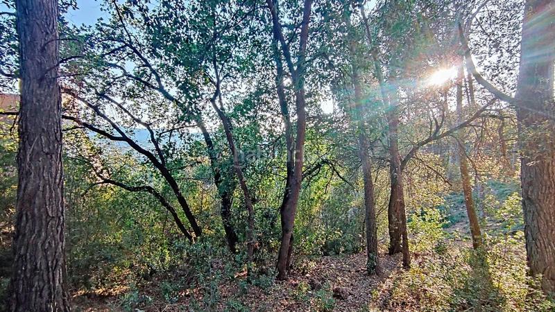 Foto 3b4d96c7-b9ff-4f29-914b-b6f9e4196365. Terreno residenziale in Molins de Rei