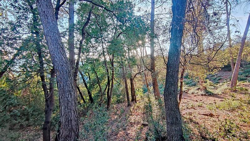 Foto 4b5af194-029f-4e05-81de-2c0f46208a0c. Terreno residenziale in Molins de Rei