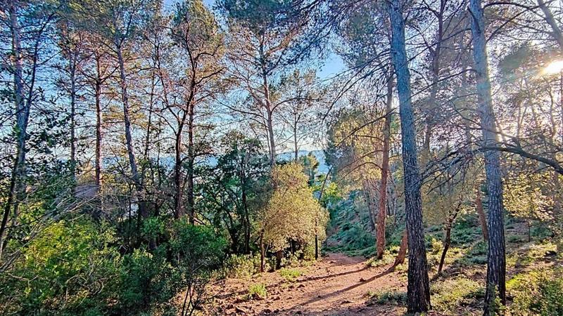 Foto 7b46e8cc-5fe8-40e3-bd40-25e639b07533. Terreno residenziale in Molins de Rei