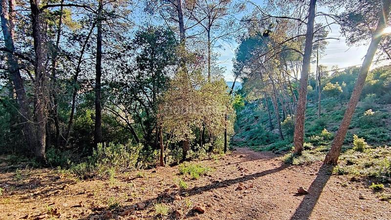 Foto ae5d2ec3-4cfb-4d76-bcec-d43b0715fdad. Terreno residenziale in Molins de Rei
