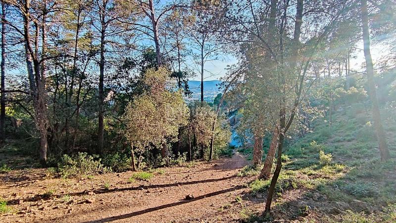 Foto b97d020b-e113-4ab8-88ab-09ac583a1e6a. Terreno residenziale in Molins de Rei
