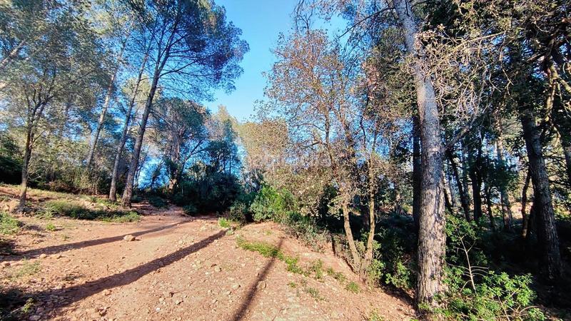 Foto dec9d6b0-44fe-4ac8-9c6b-be1914b551f9. Terreno residenziale in Molins de Rei