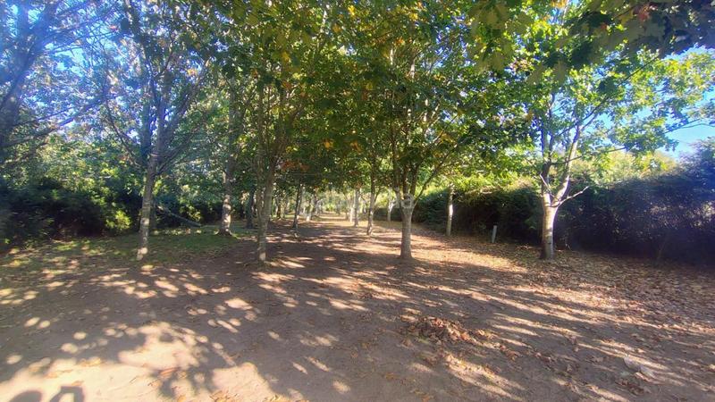 Foto f9bf4b8d-5766-42e7-95ba-6936a064dbd1. Casa en Teo