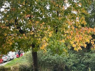 Appartement à Zona Fernández Labreda