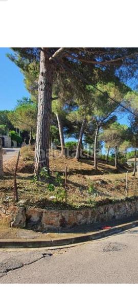 Foto 6add29e1-10d3-43c0-b197-141f3688660c. Terreno residencial en Lloret Verd - Els Pinars Lloret de Mar