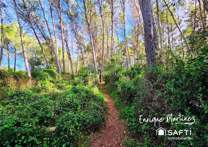 Foto 295bf2a4-7c78-458e-a777-a0b254333e91. Bauernhof in Parcent