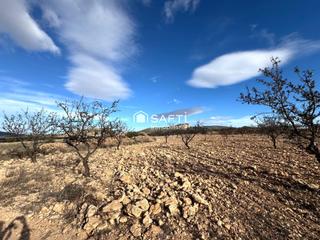 Finca rústica a Monòver