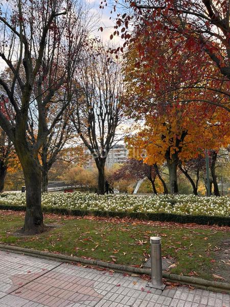 Foto ac72a881-4d4a-4fe1-8ff9-78c31b27d283. Appartement dans Centro Ciudad León