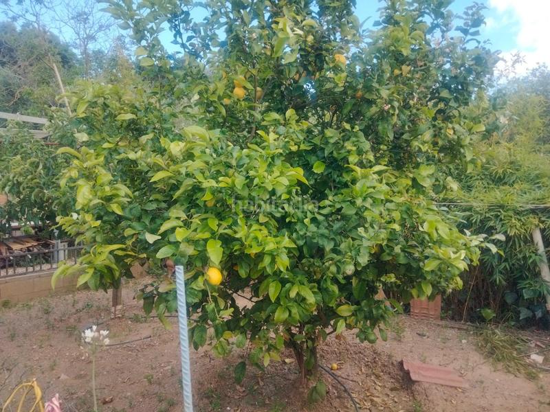 Foto 81d31d71-bad7-4c22-871d-1ca3c8ff0bbd. Casa amb calefacció aparcament a Piera