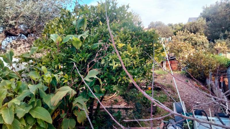 Foto ce8cffde-675a-4152-b88e-f7bdf4c3b2ee. Casa amb calefacció aparcament a Piera