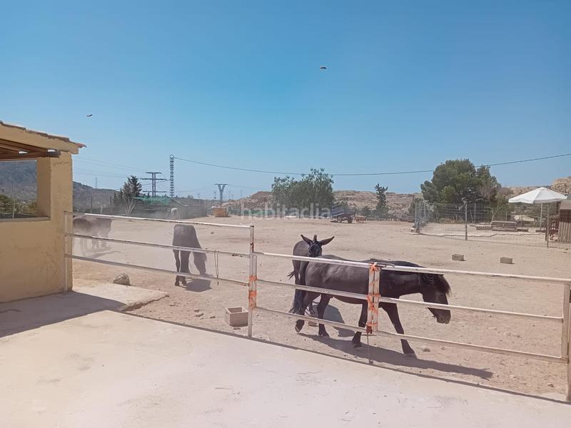 Foto 0e5ac47c-2f3c-428e-8801-acf34e7d5903. Haus in Xixona