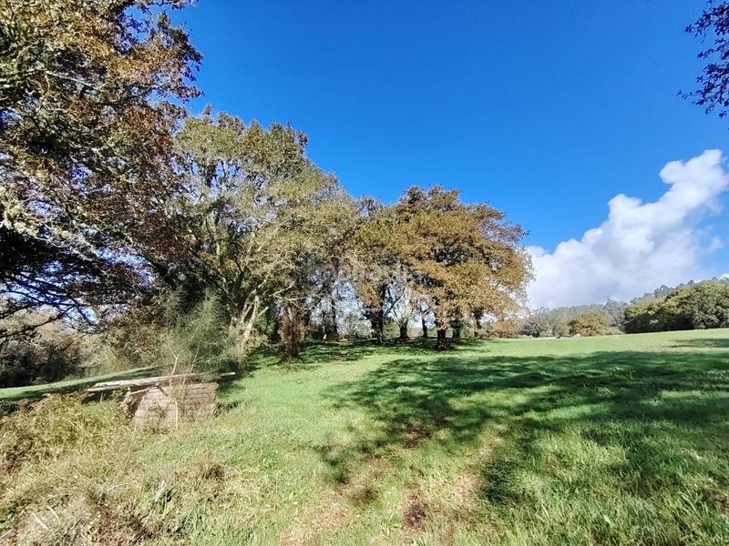 Foto 480a06c4-4ea4-4827-b238-f215c63ddec5. Masia a Negreira