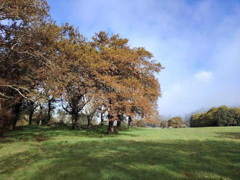 Foto 4da407f5-eb87-477e-81ae-c50582417f33. Masia a Negreira