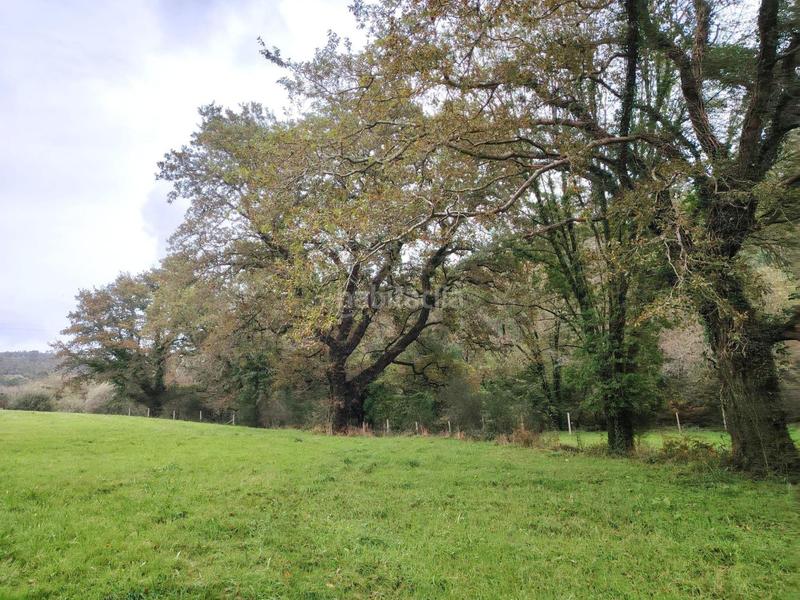 Foto 4f91b74f-f5d3-4c9d-81b9-db4d2c0b44e9. Masia a Negreira