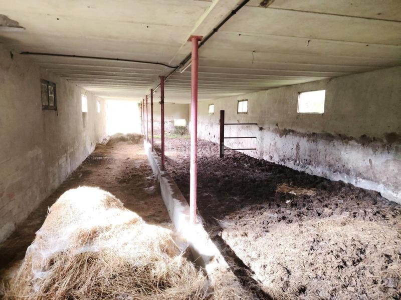 Foto 55be2666-af03-45c4-81f1-8a9abd0d4979. Masia a Negreira