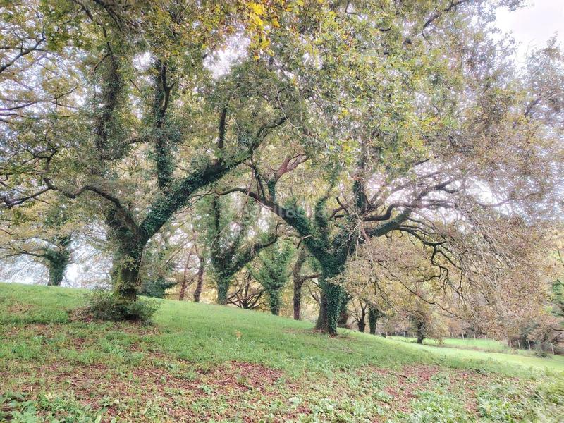 Foto 7567c1be-9432-487b-a961-c97da89e8400. Masia a Negreira