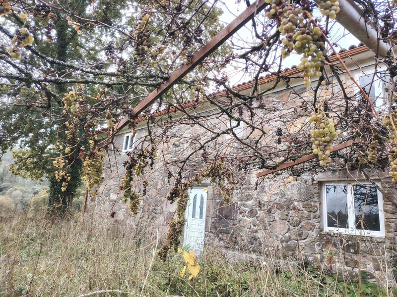 Foto 7d2c17b3-28ca-46d4-a335-05467fea3cf7. Masia a Negreira