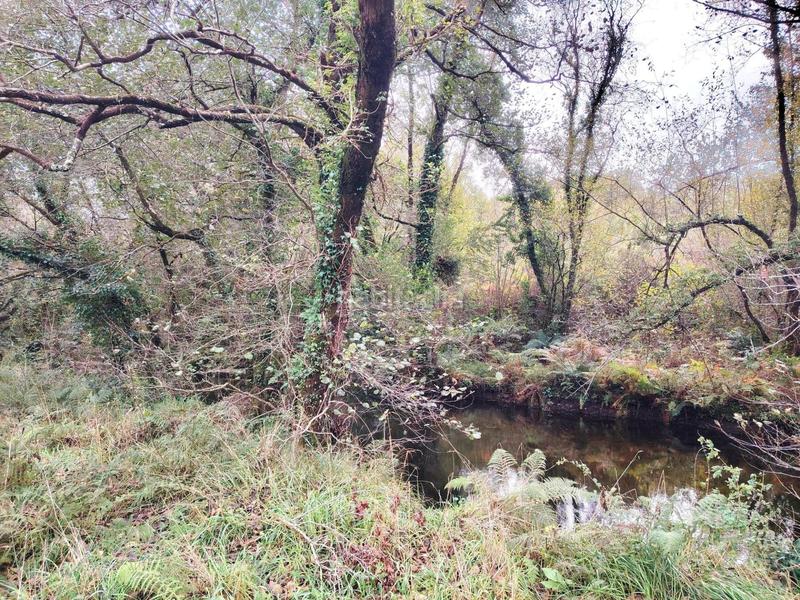 Foto d4c50a6a-60e9-4fbc-83d2-515a34505804. Masia a Negreira