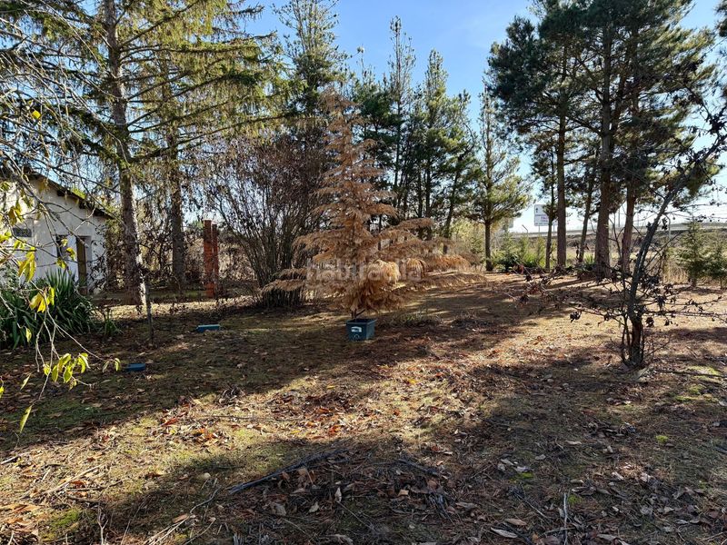 Foto d3d80099-2925-473c-88b7-339f3d051602. Finca rústica a Valencia de Don Juan