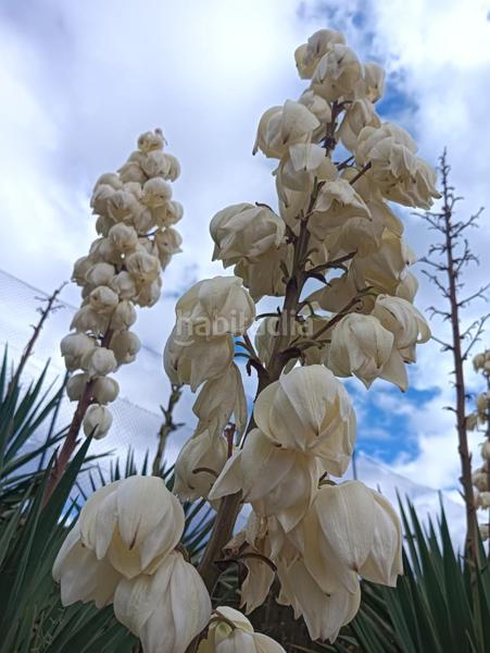 Foto 0db7478f-e8d4-497f-9442-f757066d3f32. Mas avec parking dans Vallgorguina