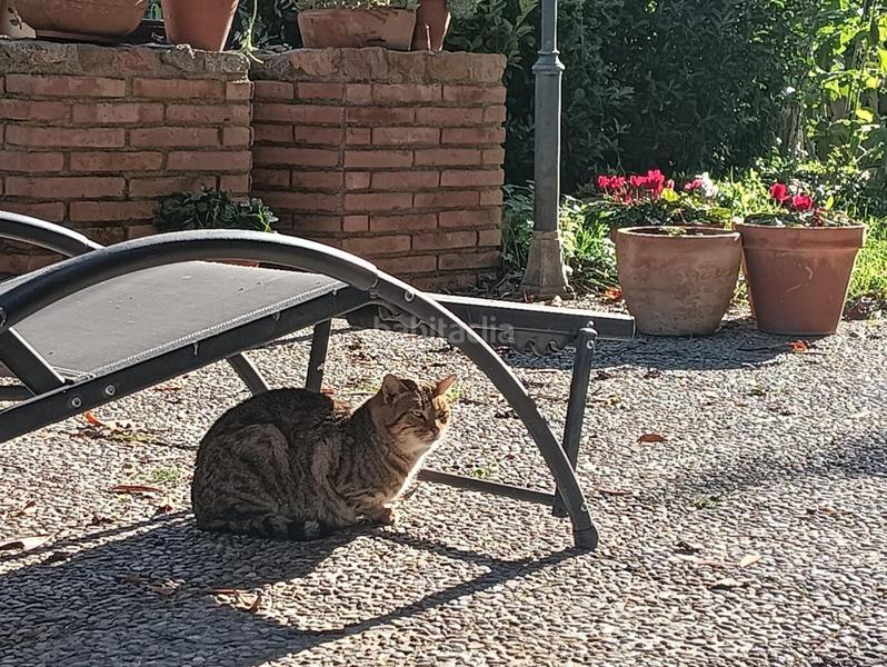 Foto 4a80bb20-9b74-4d69-9123-00eff1646d1e. Mas avec parking dans Vallgorguina