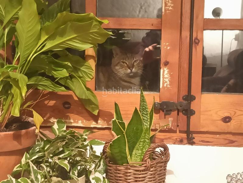 Foto d17448e0-c250-48e8-8619-bc12239f54b0. Mas avec parking dans Vallgorguina