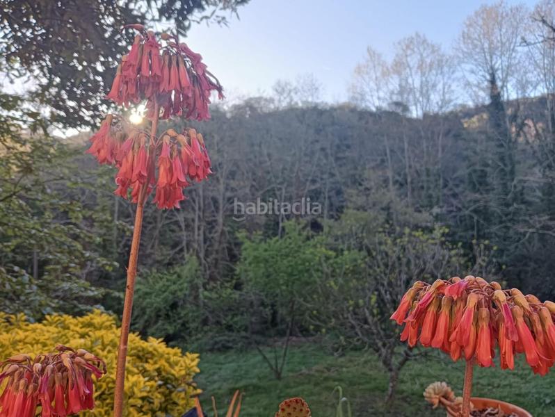 Foto dc9c67c9-2291-44ab-9277-b7d7a6191849. Mas avec parking dans Vallgorguina