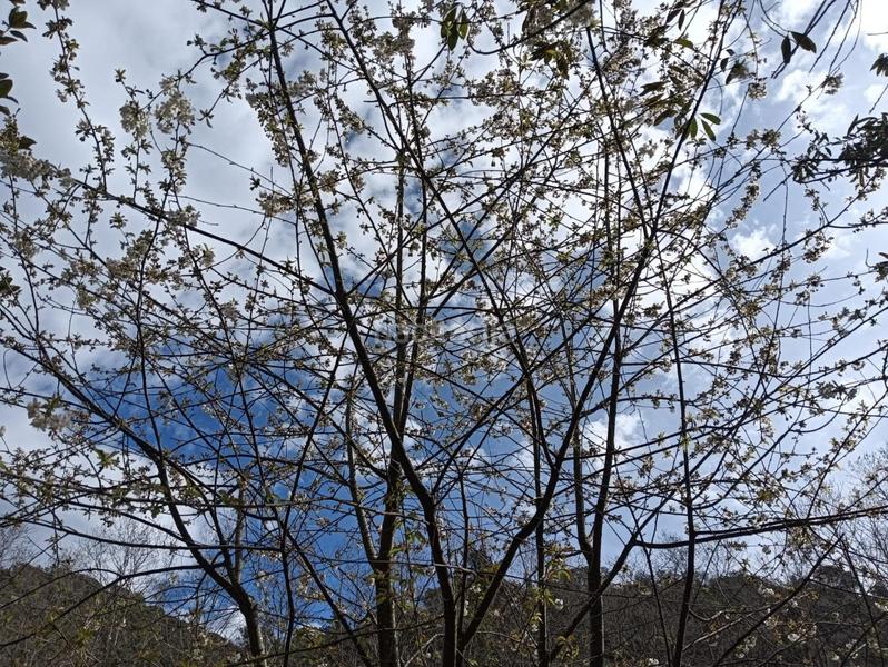 Foto dd639792-40d5-4f4d-b2af-eafcc1f79b51. Mas avec parking dans Vallgorguina