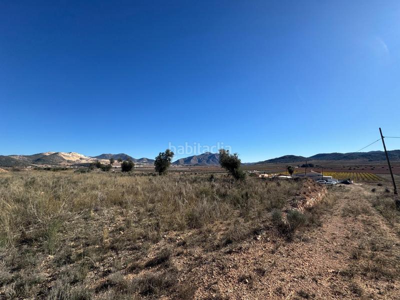 Foto 2509f808-ca9d-4c4d-b314-3c2c694473e8. Landgut in Abanilla