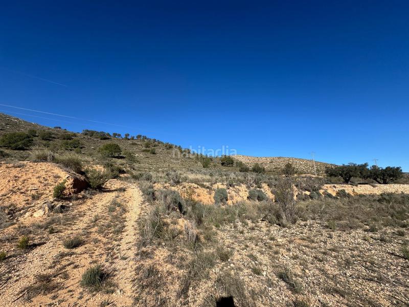 Foto 584bc93e-1ca9-4bb7-acf6-37543f94c2bb. Landgut in Abanilla