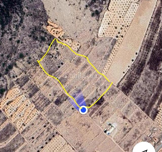 Foto b0f5c004-2718-4ee2-a0e0-349250fd59eb. Landgut in Abanilla