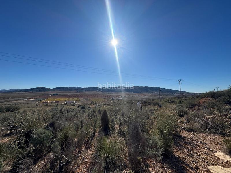 Foto ba04412c-8c1a-409e-b937-5c9d55bae18b. Landgut in Abanilla