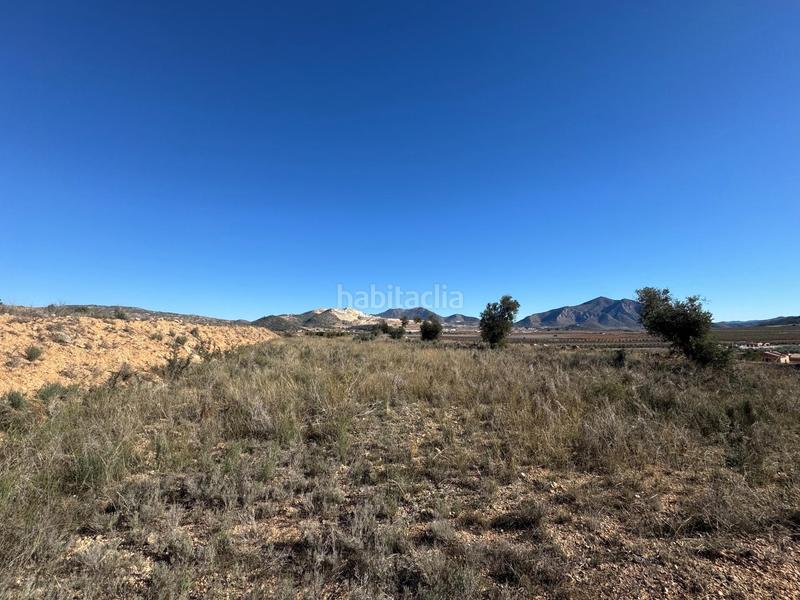 Foto d4fef7fe-546d-4adc-9a45-e89ae19b5aab. Landgut in Abanilla