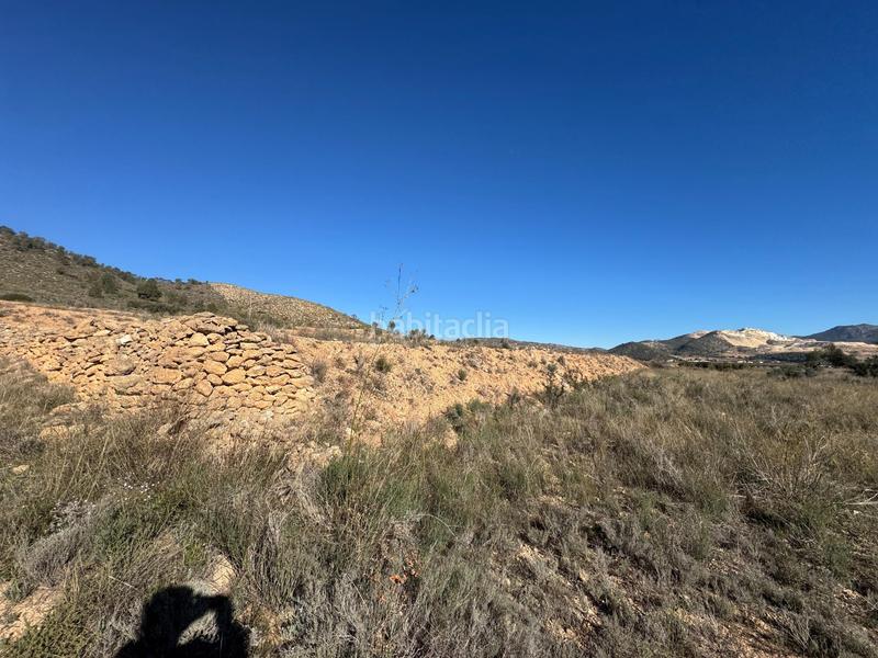 Foto e5e6166d-6aeb-41c0-93d9-99513d80c797. Landgut in Abanilla