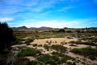 Rural plot in Villamontes-Boqueres