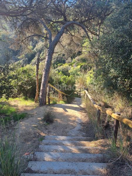 Foto dc8e8a60-bc27-4f71-b3db-8c44c01fcfb7. Pis amb calefacció piscina a Lloret Verd - Els Pinars Lloret de Mar