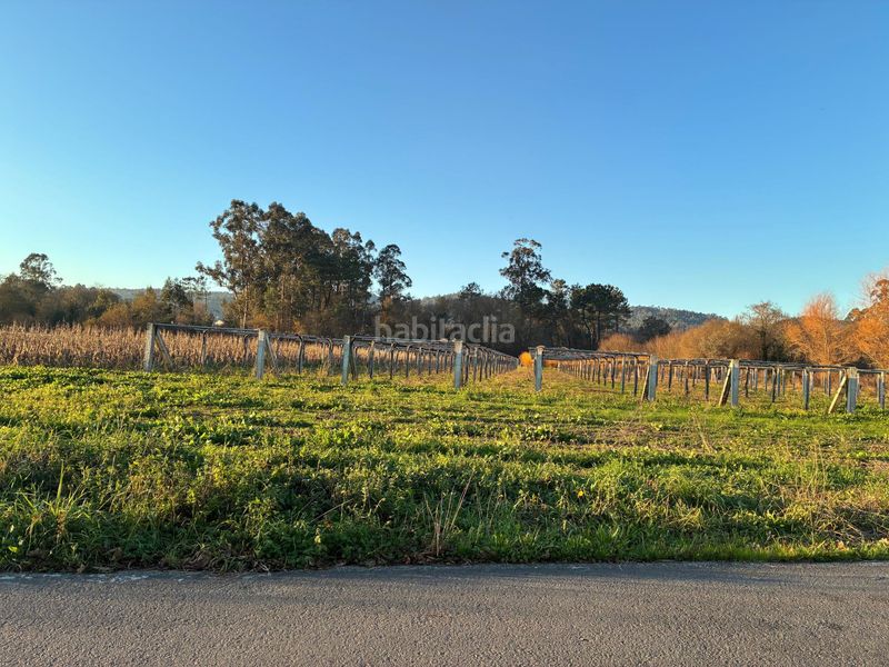 Foto 874294e8-71f8-4142-8b91-95081cad15c0. Masia a Vilanova de Arousa