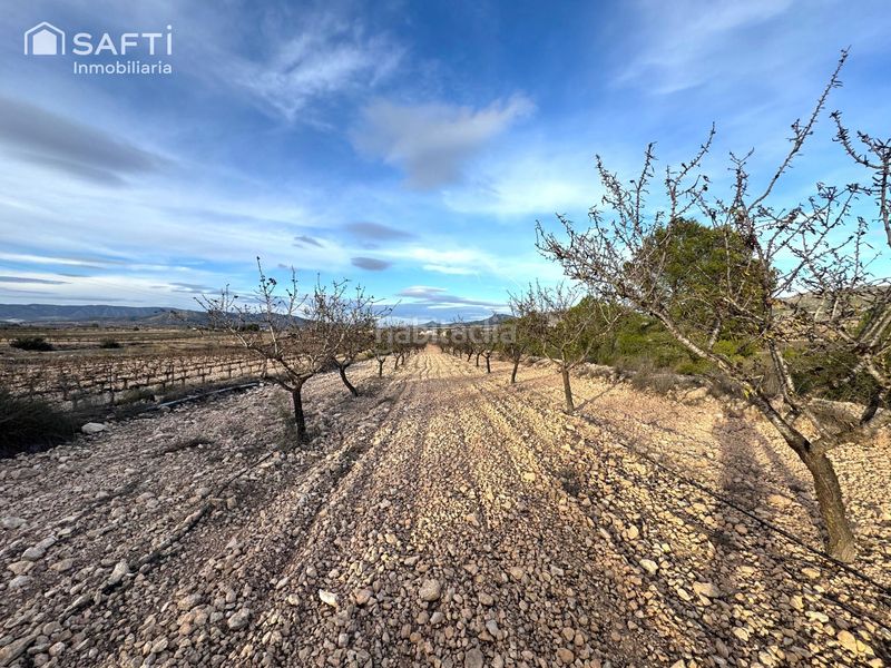 Foto 50b5881d-660e-49f2-ab9a-347d3deaa57e. Finca rústica en Monòver