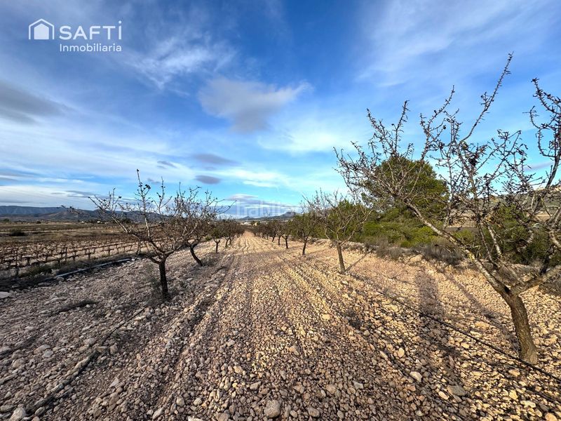 Foto ccb0a861-d515-4cae-a155-d524c1cc5dda. Finca rústica en Monòver