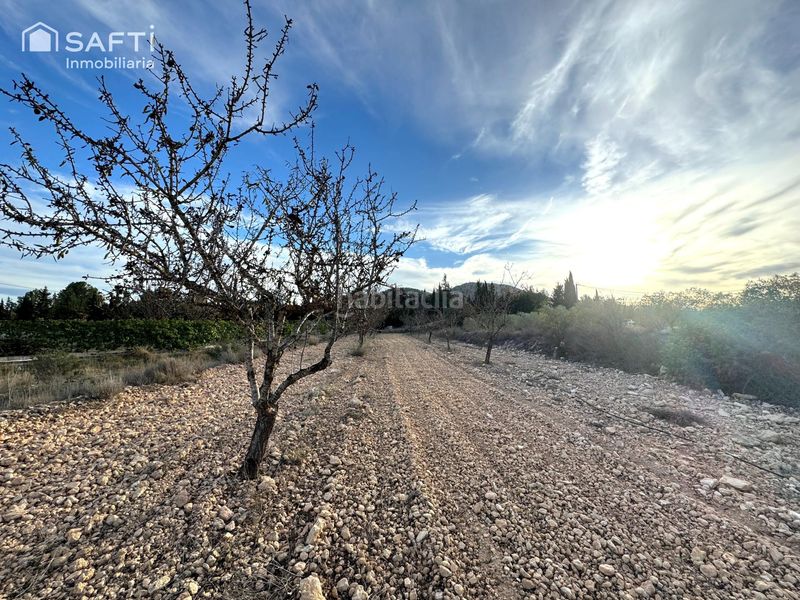 Foto ec6a4948-6639-4890-884c-79c78c2382e2. Finca rústica en Monòver