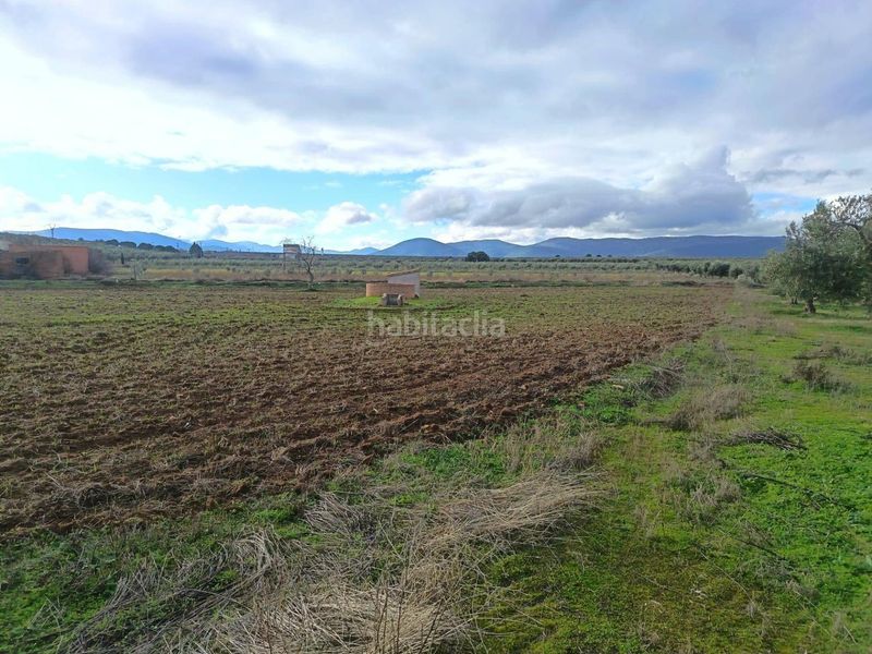 Foto 45e0230e-13d4-4f59-a5f0-d49ea6c1003a. Finca rústica en Navalucillos (Los)