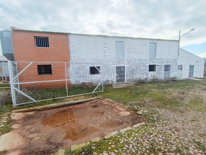 Foto 4f8ae060-dd50-477a-9191-042d93d851da. Finca rústica en Navalucillos (Los)